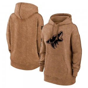 Women's Arizona Coyotes Brown 2023 Salute to Service Pullover Hoodie -