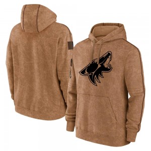 Youth Arizona Coyotes Brown 2023 Salute to Service Club Pullover Hoodie -