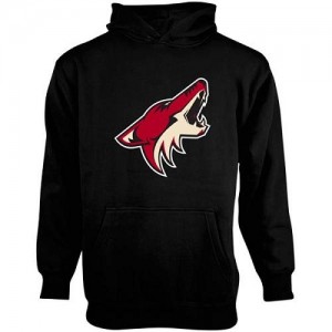 Youth Arizona Coyotes Black Men's Old Time Hockey Big Logo Fleece Pullover Hoodie - -