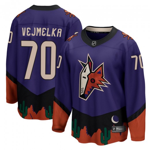 Men's Fanatics Branded Arizona Coyotes Karel Vejmelka Purple 2020/21 Special Edition Jersey - Breakaway