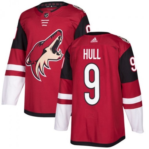download brett hull coyotes download brett hull coyotes