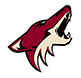 Coyotes Store